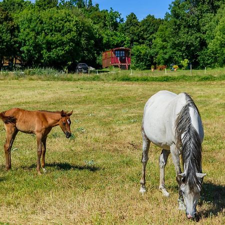 Готель Roulotte-Quinta Blandas Екстер'єр фото